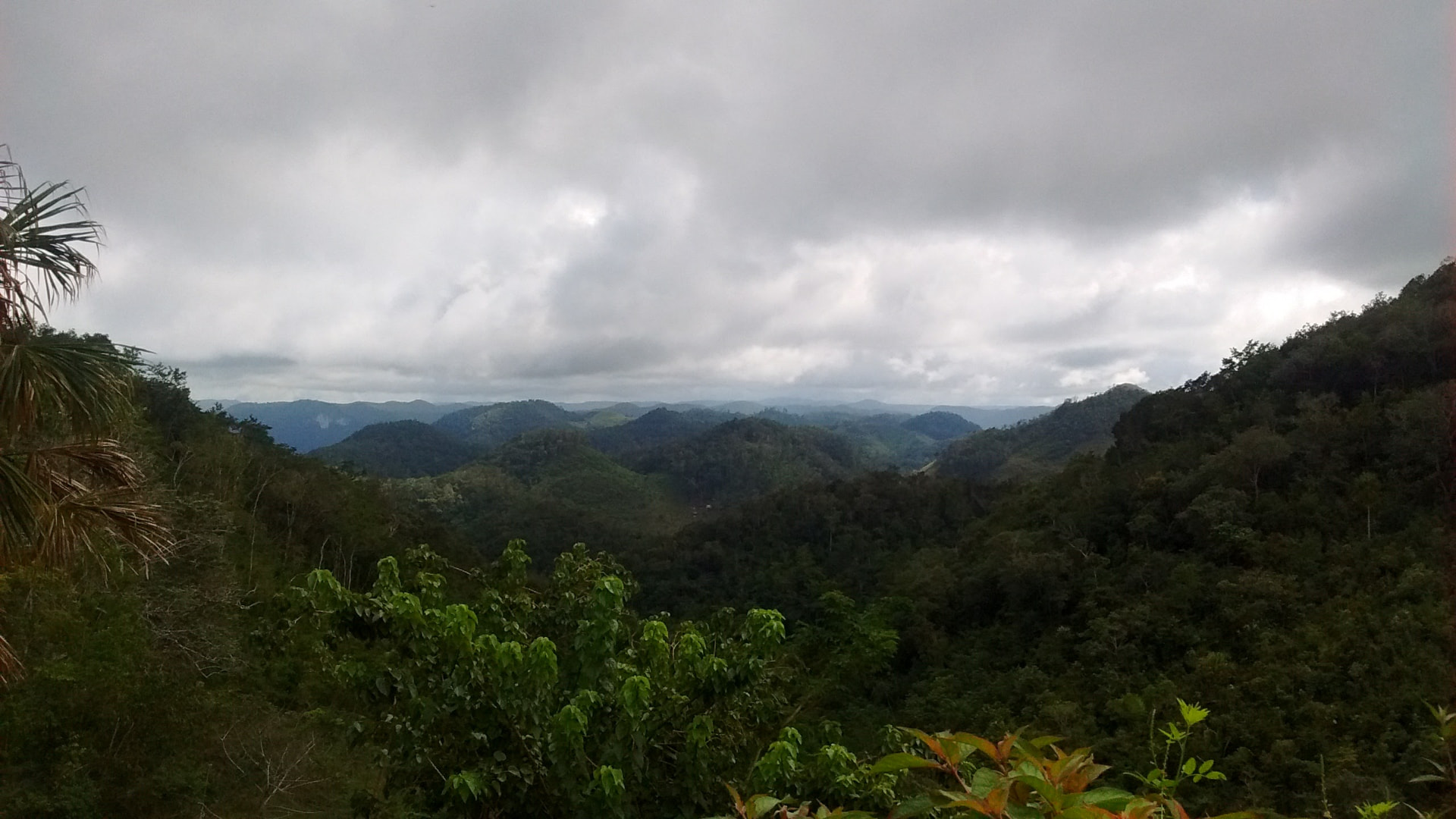 Jungle-covered hills of the Maya Mountains in Belize